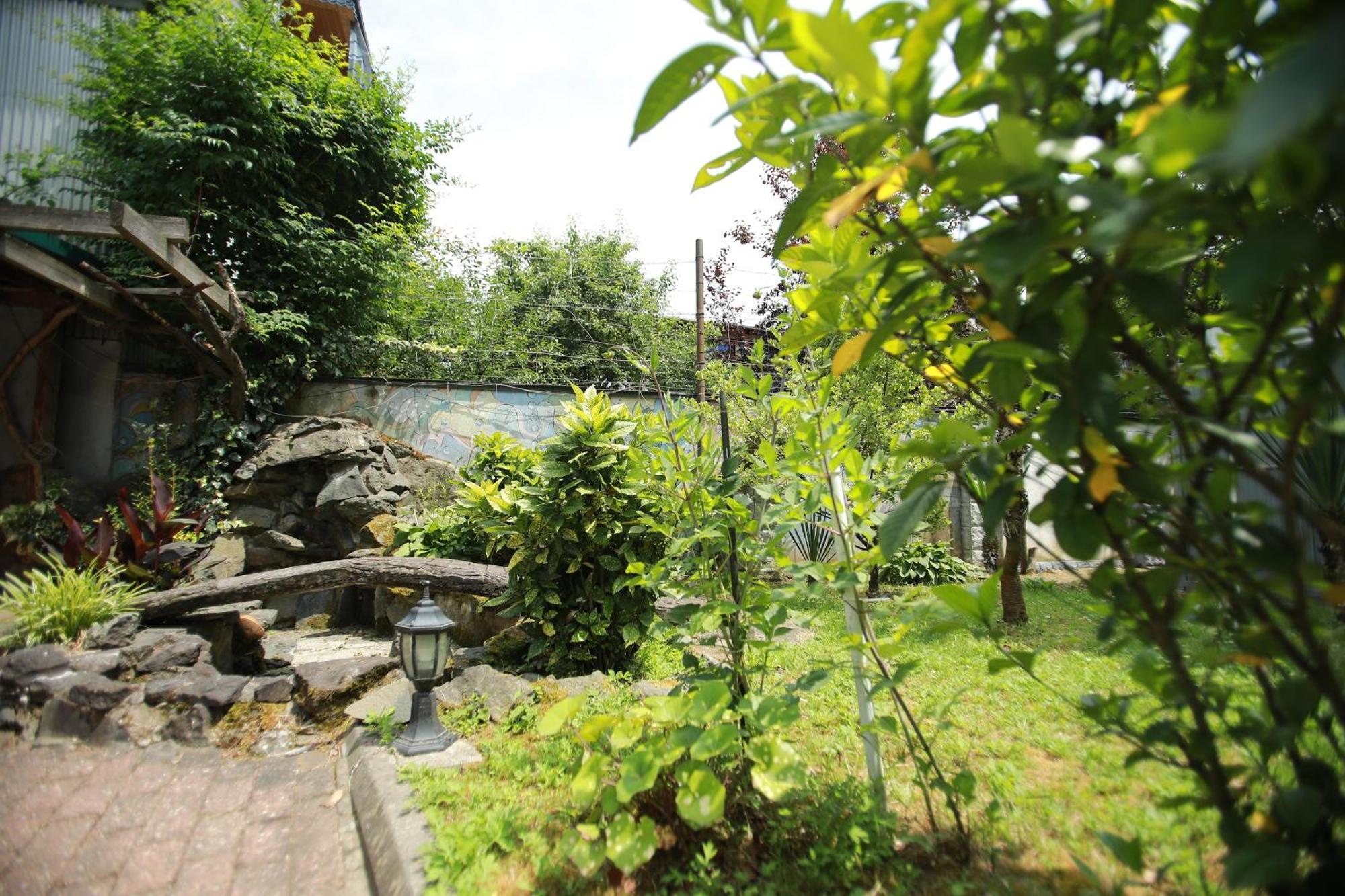 Green House Hotel 코불레티 외부 사진